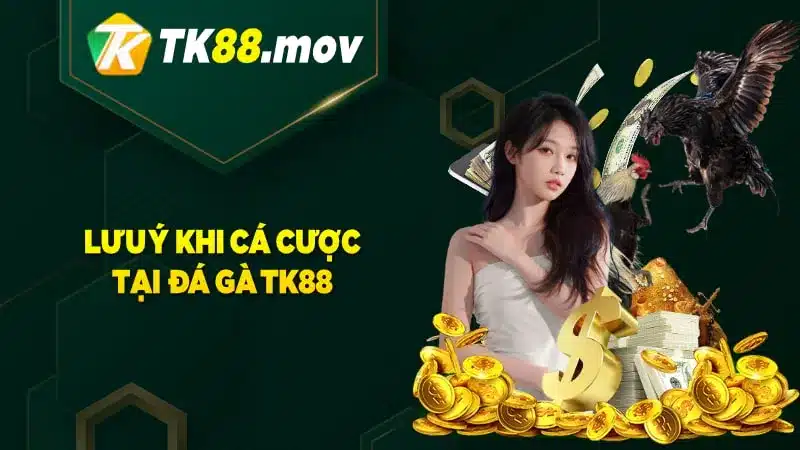 Các lưu ý khi chơi đá gà tại TK88