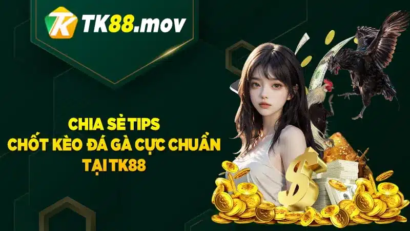 Các mẹo chốt kèo đá gà TK88