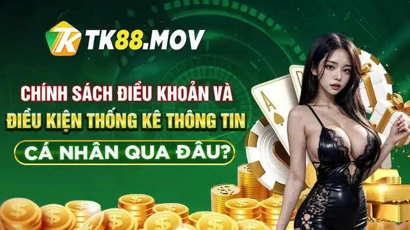 Chính sách các điều khoản và điều kiện thống kê thông tin cá nhân