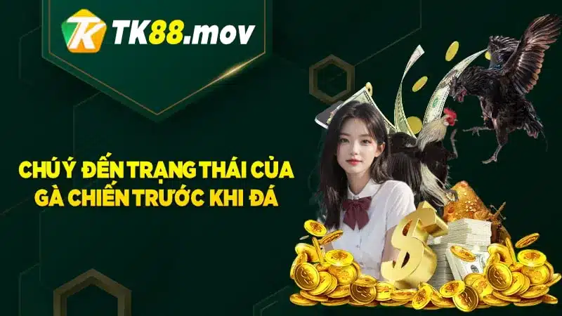 Chú ý đến trạng thái của chiến kê