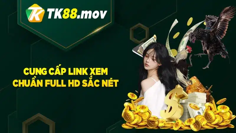 Cung cấp link xem đá gà full HD sắc nét