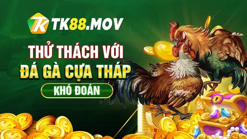 Đá gà cựa tháp