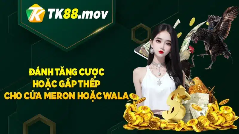 Đánh tăng cược hoặc gấp thếp