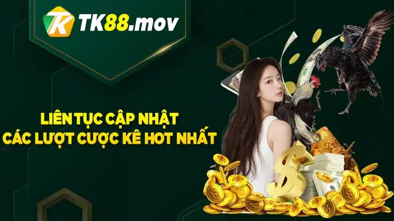 Liên tục cập nhật các trận đá gà hấp dẫn