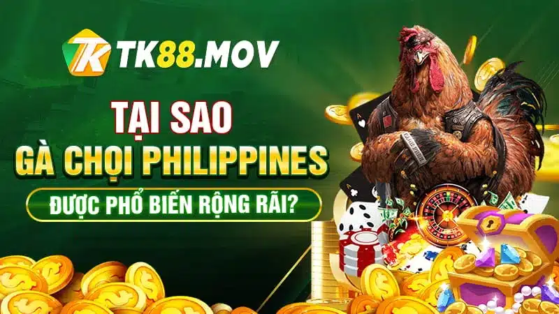 Các lý do giúp gà chọi Philippines phổ biến rộng rãi