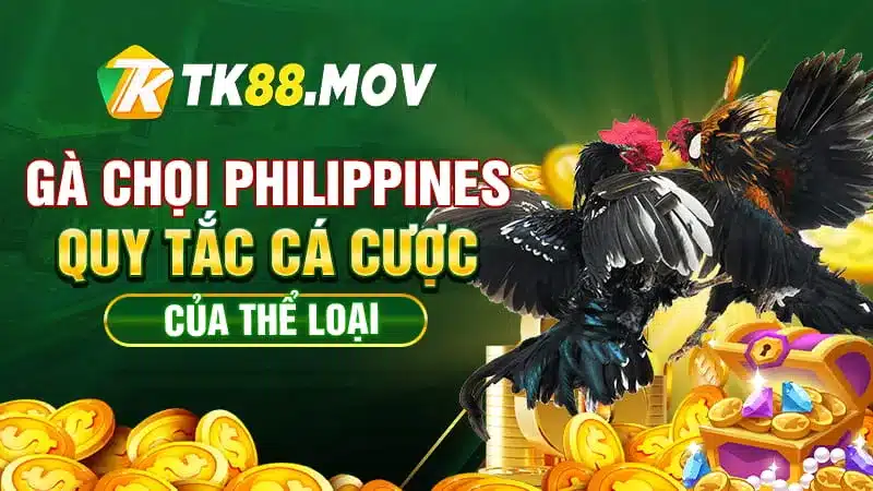 Các quy tắc cá cược của thể loại gà chọi Philippines