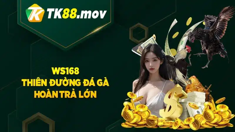 Sảnh đá gà WS168