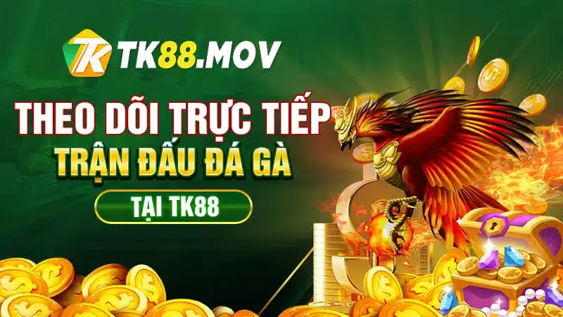 Theo dõi trực tiếp các trận gà chọi Philippines TK88