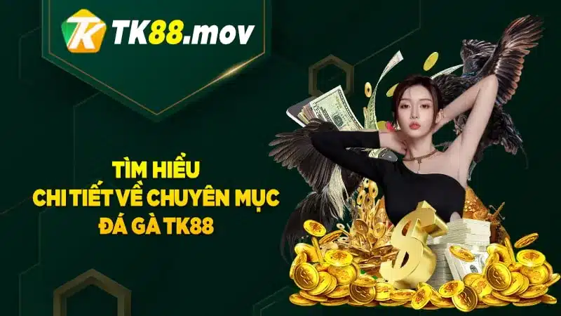 Giới thiệu chi tiết về chuyên mục đá gà TK88