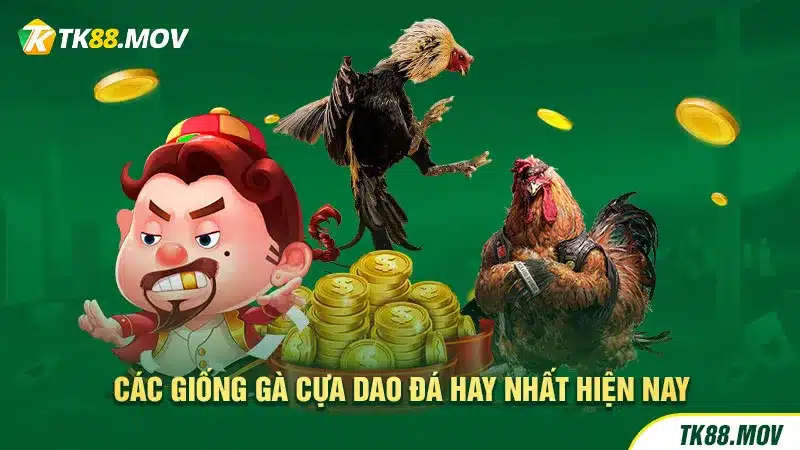 Các giống gà cựa dao hay nhất hiện nay