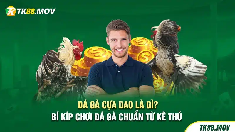 Đá gà cựa dao TK88