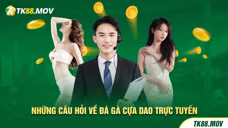 Giải đáp những câu hỏi về đá gà cựa dao trực tuyến