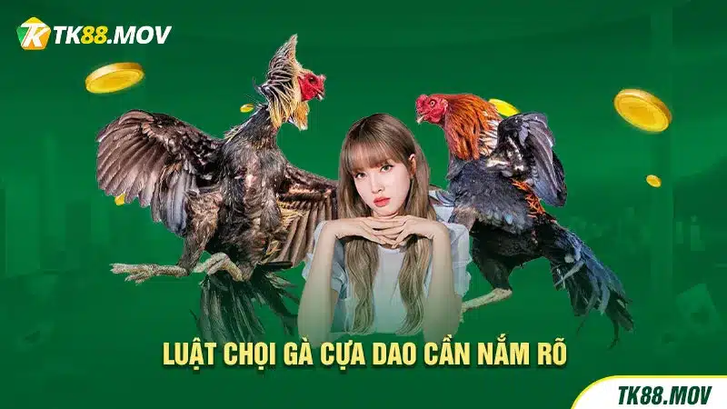 Luật chơi đá gà cựa dao